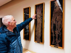 university-of-minnesota-study-reveals-surprising-carbon-storage-potential