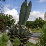 urgent-alert-agave-plants-hacked-in-torrance-residents-concerned