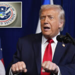 washington-post-urges-snap-overhaul-after-100m-fraud-revelations