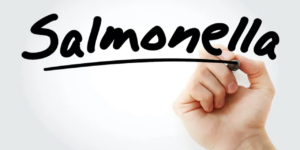 whole-genome-sequencing-cuts-salmonella-cases-in-australia