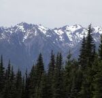 woman-killed-in-rare-mountain-lion-attack-in-colorado-trail