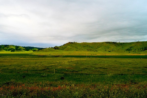28-yotes-named-to-all-summit-league-team-after-strong-finish
