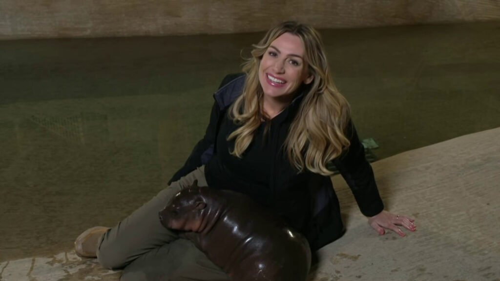 arizona-zoo-reveals-baby-pygmy-hippo-named-jellybean