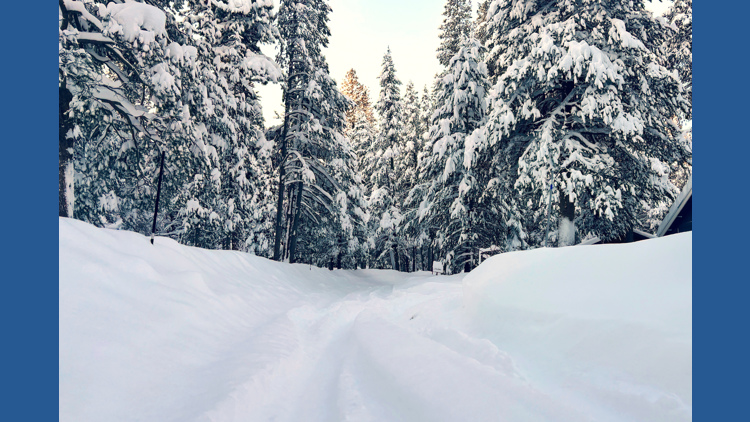 California Avalanche