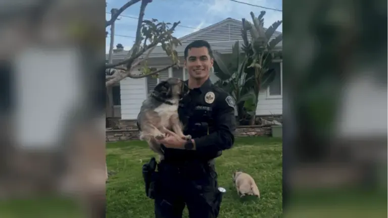 california-officer-s-photo-with-bulldogs-goes-viral-sparks-joy