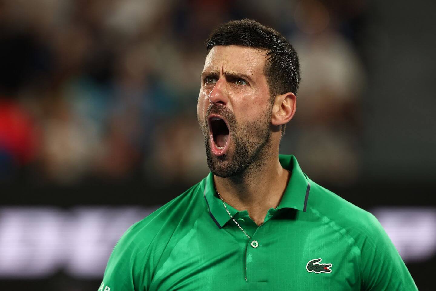 carlos-alcaraz-faces-novak-djokovic-in-thrilling-australian-open-final