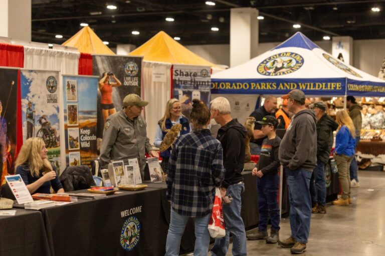 colorado-parks-and-wildlife-names-laura-clellan-as-finalist-for-director-role