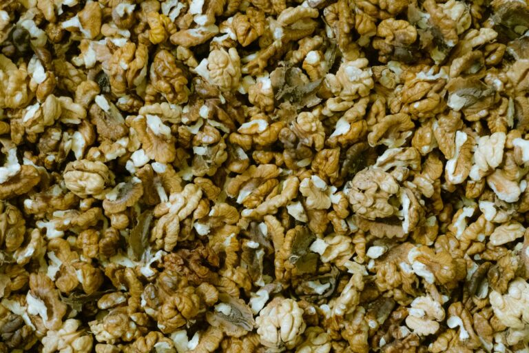 dash-diet-surpasses-five-popular-diets-in-reducing-cognitive-decline