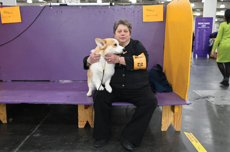 dog-trainers-at-westminster-showcase-values-beyond-winning