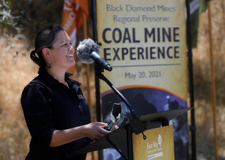 ex-east-bay-parks-director-alleges-gender-discrimination-retaliation