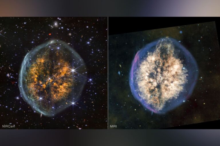 nasa-s-james-webb-telescope-reveals-nebula-resembling-a-brain