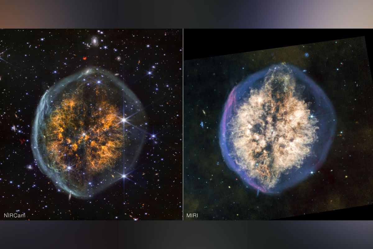 nasa-s-james-webb-telescope-reveals-nebula-resembling-a-brain