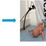 new-3d-camera-system-automates-ultrasound-documentation-process