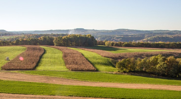 pennsylvania-invests-2-2m-in-research-to-boost-agriculture