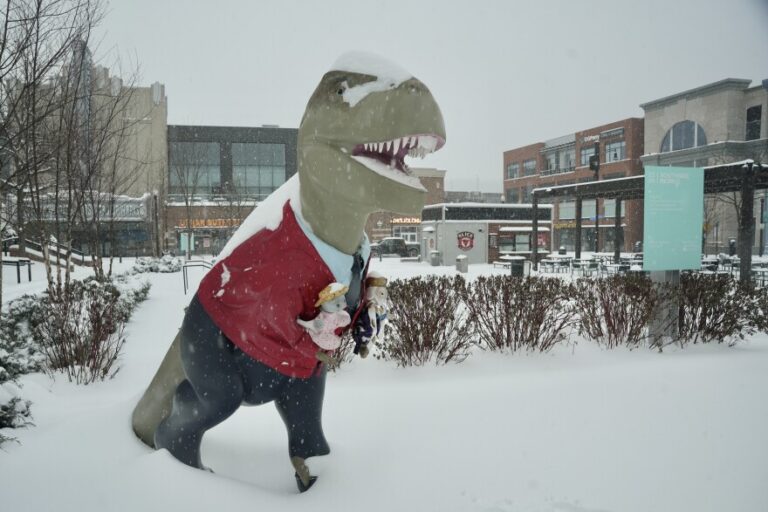 pennsylvania-launches-engaging-winter-hotline-with-local-accents