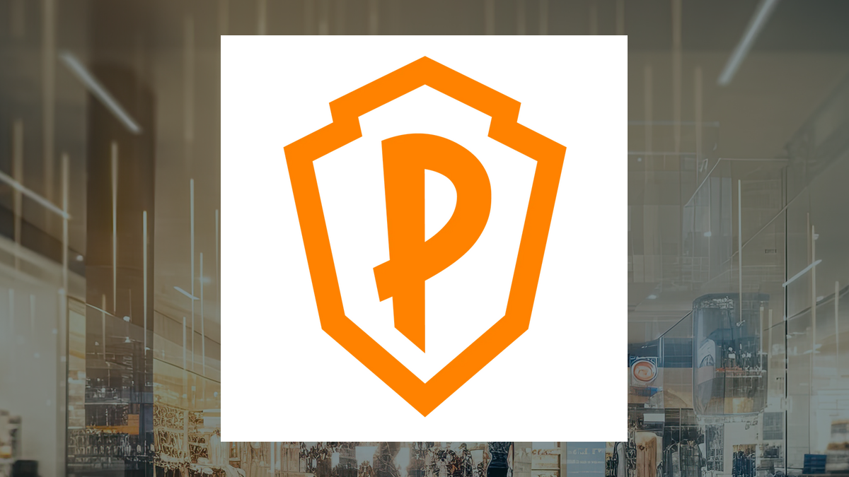 playstudios-receives-2-target-price-from-analysts-amid-mixed-ratings