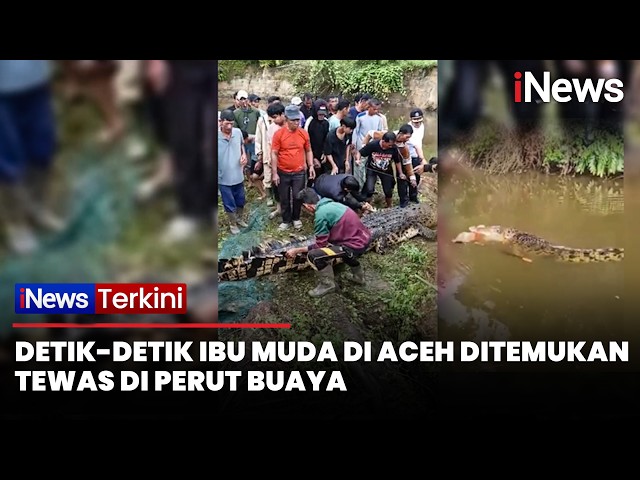 tragic-incident-fisherman-killed-by-4-metre-crocodile-in-aceh