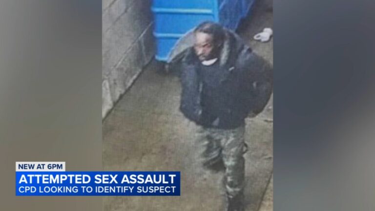 urgent-update-chicago-police-hunt-suspect-in-assault-attempt