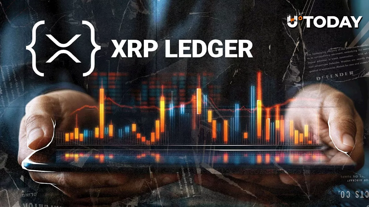 new-proposal-unveils-options-trading-for-xrp-ledger-ecosystem