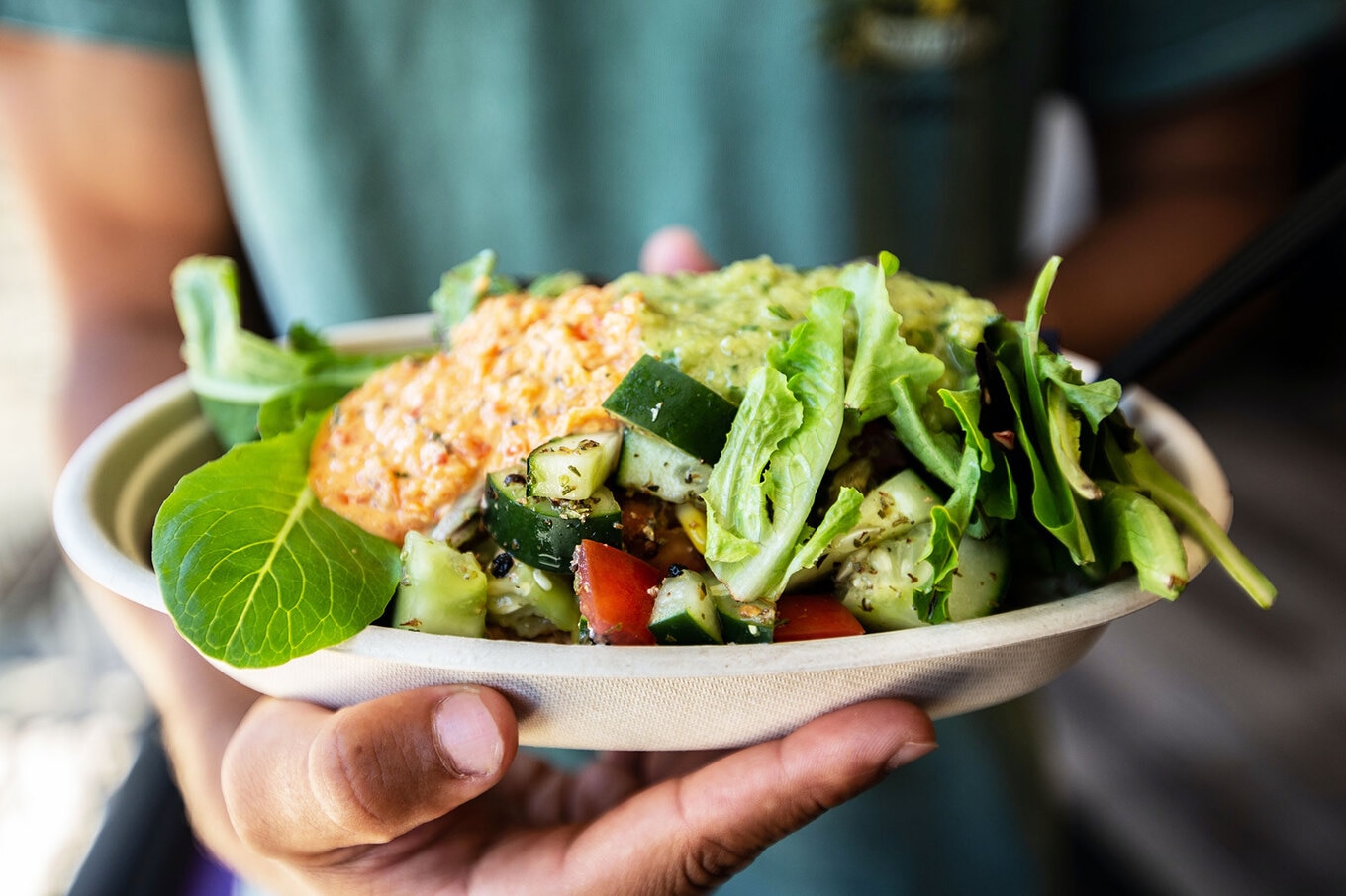 study-reveals-ancient-diets-were-plant-based-not-just-meat