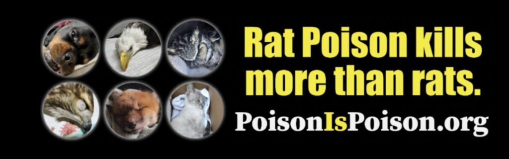 urgent-billboards-on-i-84-warn-rat-poison-kills-wildlife